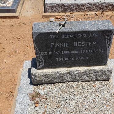 BESTER Pkkie 1909-1951