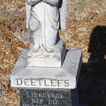 DEETLEFS Danie 1955-1960