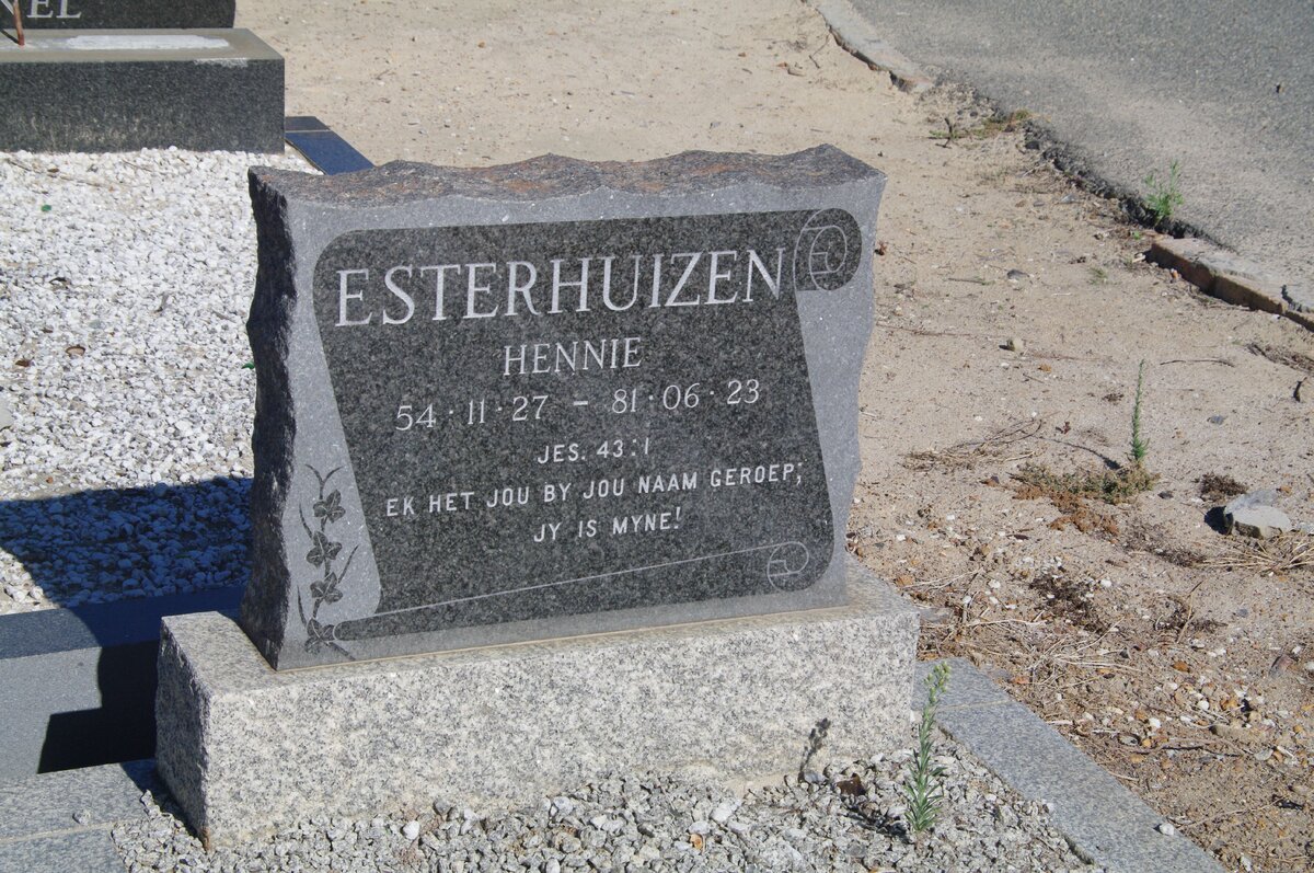 ESTERHUIZEN Hennie 1954-1981