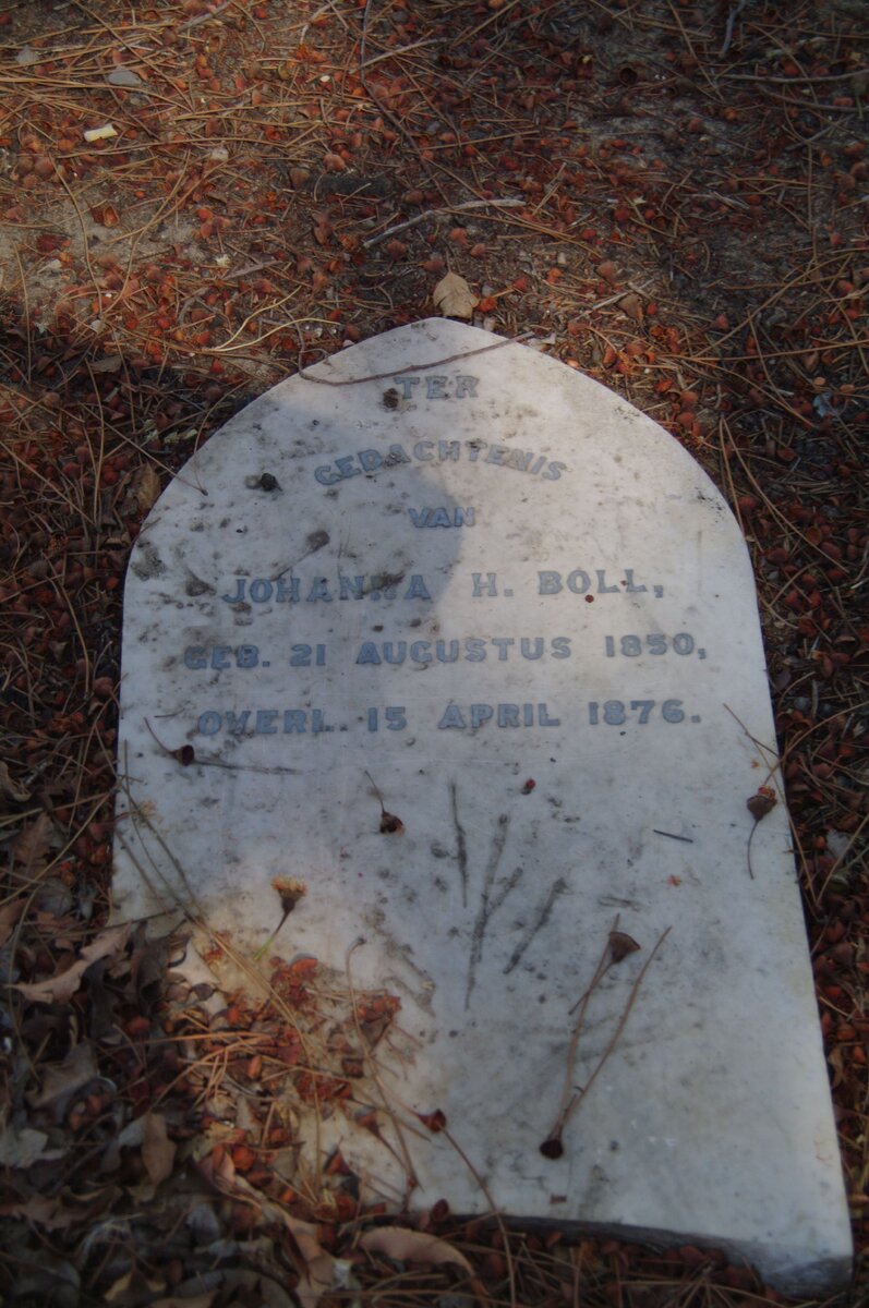 BOLL Johanna H. 1850-1876