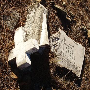 MEIRING Johannes Tromp 1829-1877