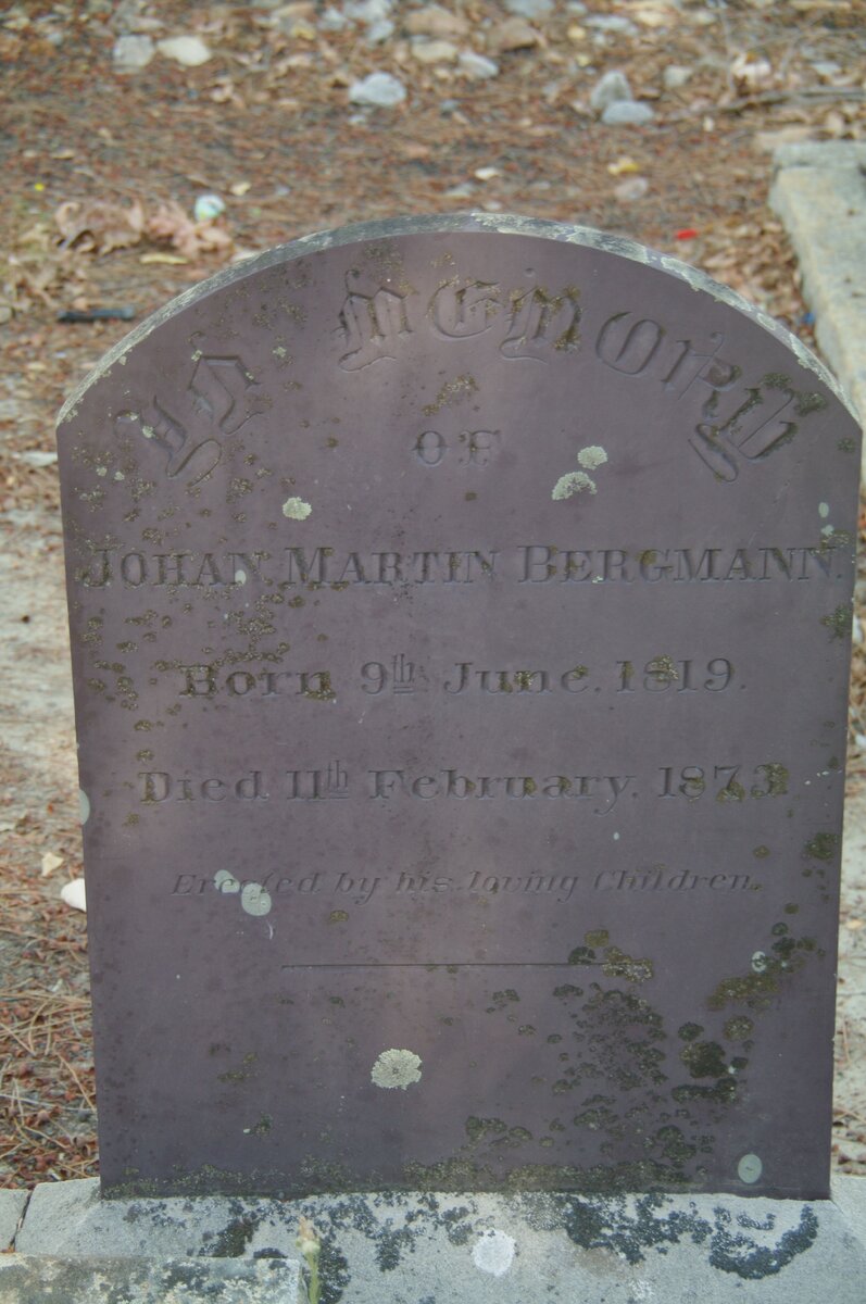 BERGMANN Johan Martin 1819-1873