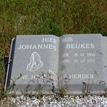 BEUKES Johannes 1955-1972