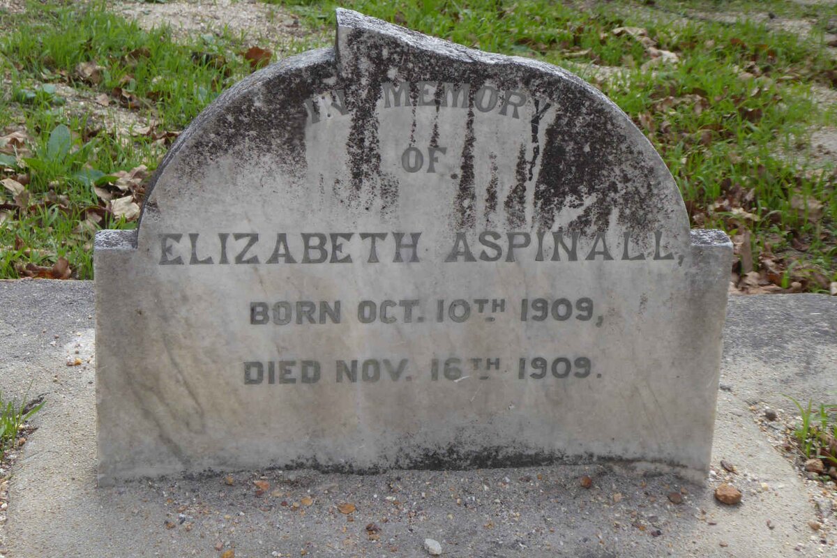 ASPINALL Elizabeth 1909-1909