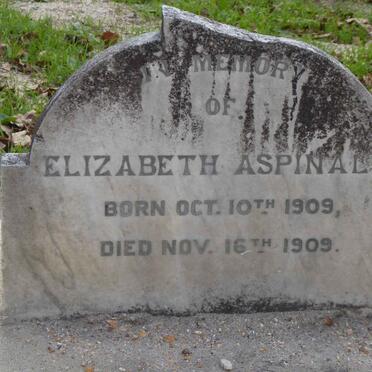 Western Cape, CALEDON district, Botrivier, Houwhoek, Poespas Valley 341, farm cemetery