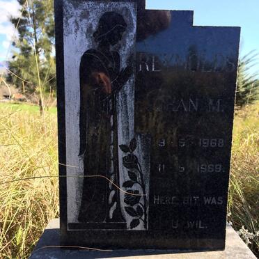 REYNOLDS Johan M. 1968-1969