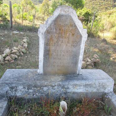 SOLOMONS Peter M. 1932-1997