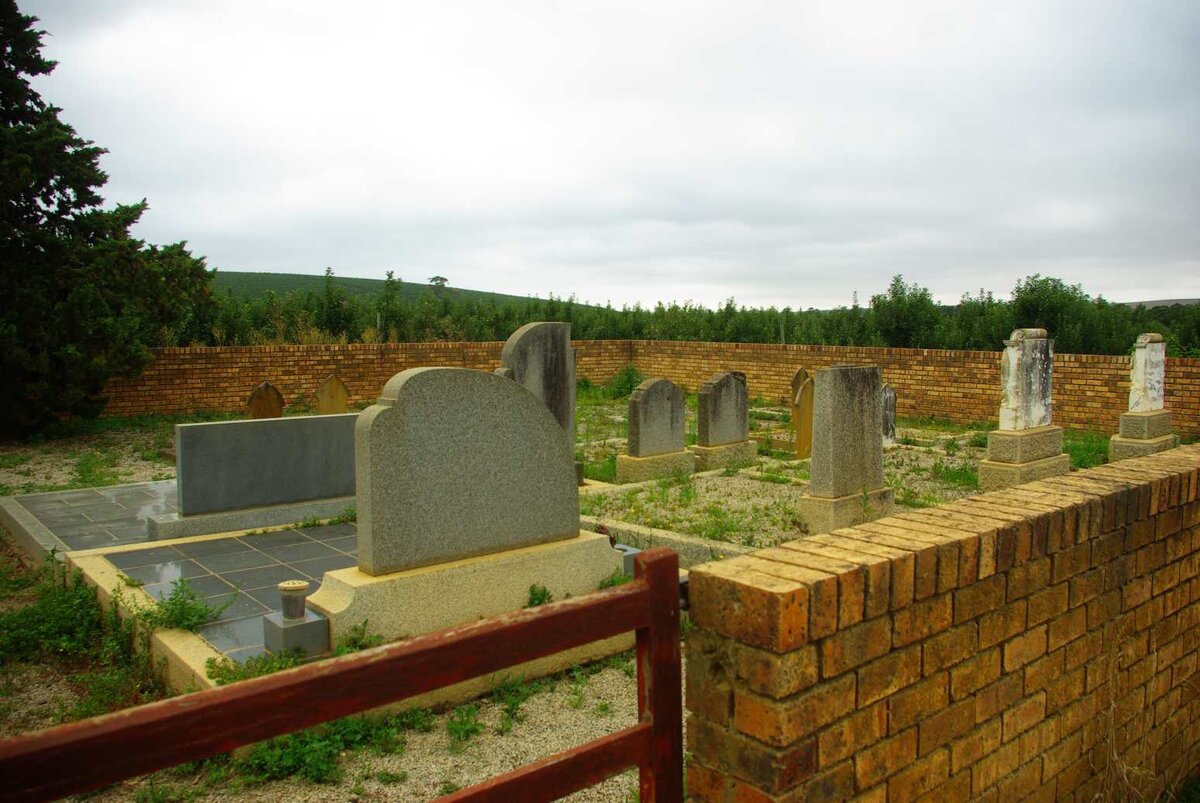 2. Oorsig / Overview