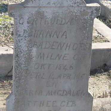 BADENHORST Gertruida Johanna nee MILNE 1846-19?? :: MATTHEE Maria Magdalena 1916-1923