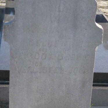 GELDENHUYS 18??-190?