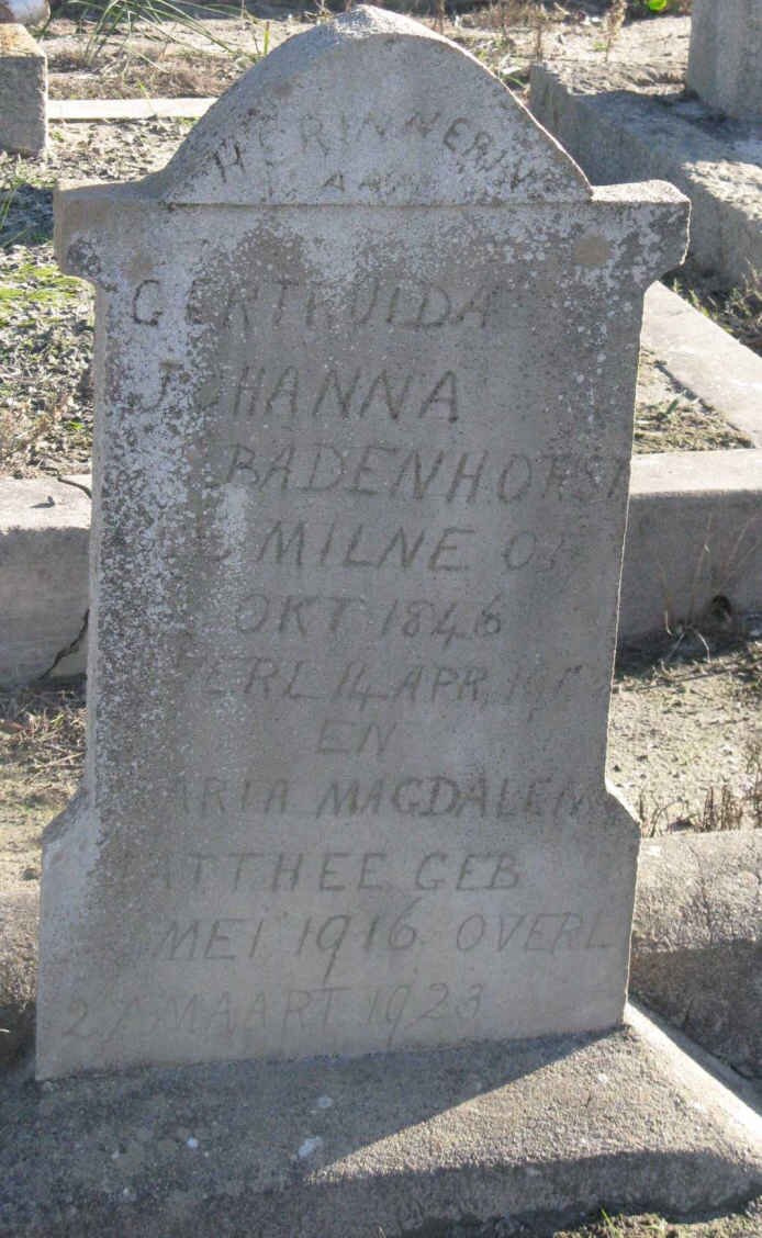 BADENHORST Gertruida Johanna nee MILNE 1846-19?? :: MATTHEE Maria Magdalena 1916-1923