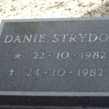 STRYDOM Danie 1982-1982