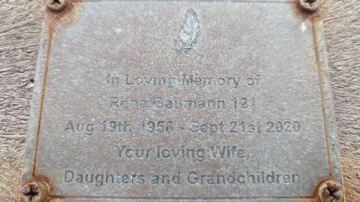 BAUMANN Rene 1958-2020