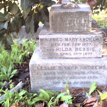 ANDREWS Leslie Bishop 1884 - 1910 :: ANDREWS Winifred Mary :: ANDREWS Hilda Bessie