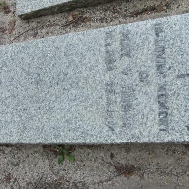 HOBBS May V. 1894-1984