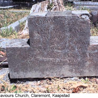 MUSGRAVE A.E.L. nee D'URBAN -1878 :: MUSGRAVE Annette D'URBAN 1894