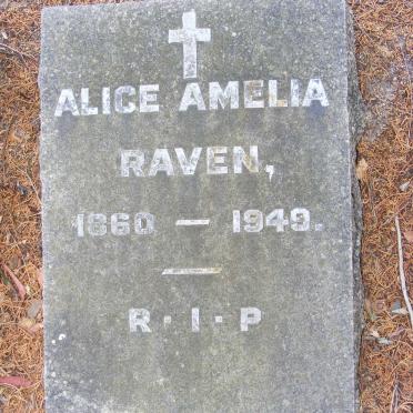 RAVEN Alice Amelia 1860-1949