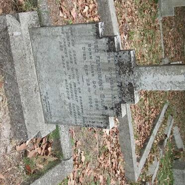 SAUNDERS Wilfred Ferdinand 1898-1905 :: PAVER George  -1891
