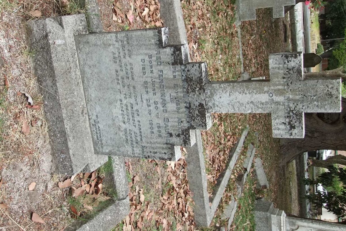 SAUNDERS Wilfred Ferdinand 1898-1905 :: PAVER George  -1891