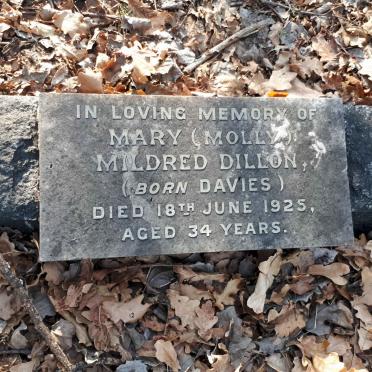 DILLON Mary Mildred nee DAVIES -1925
