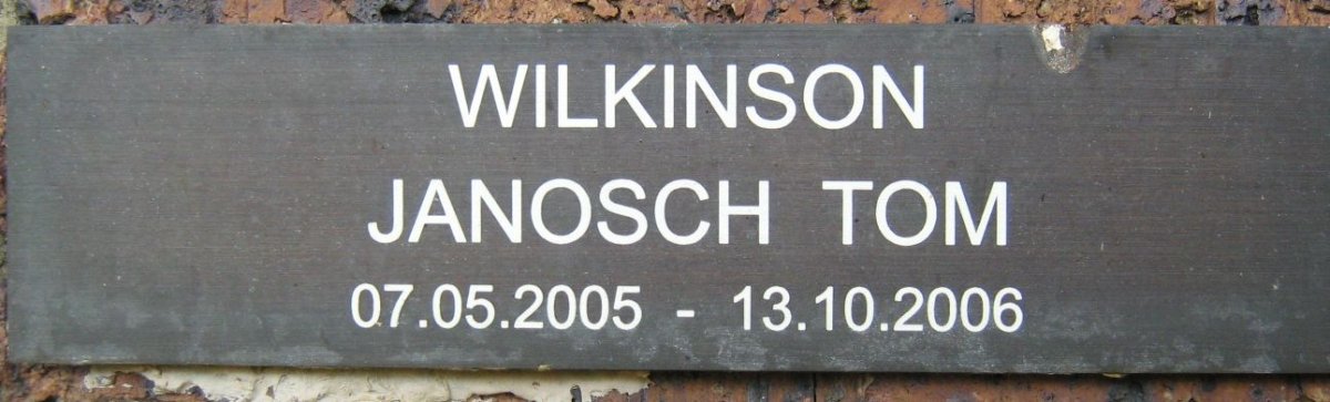 WILKINSON Janosch Tom 2005-2006