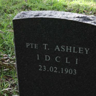 ASHLEY T. -1903 