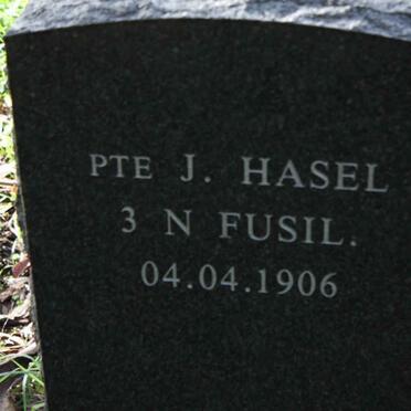 HASEL  J.  -1906
