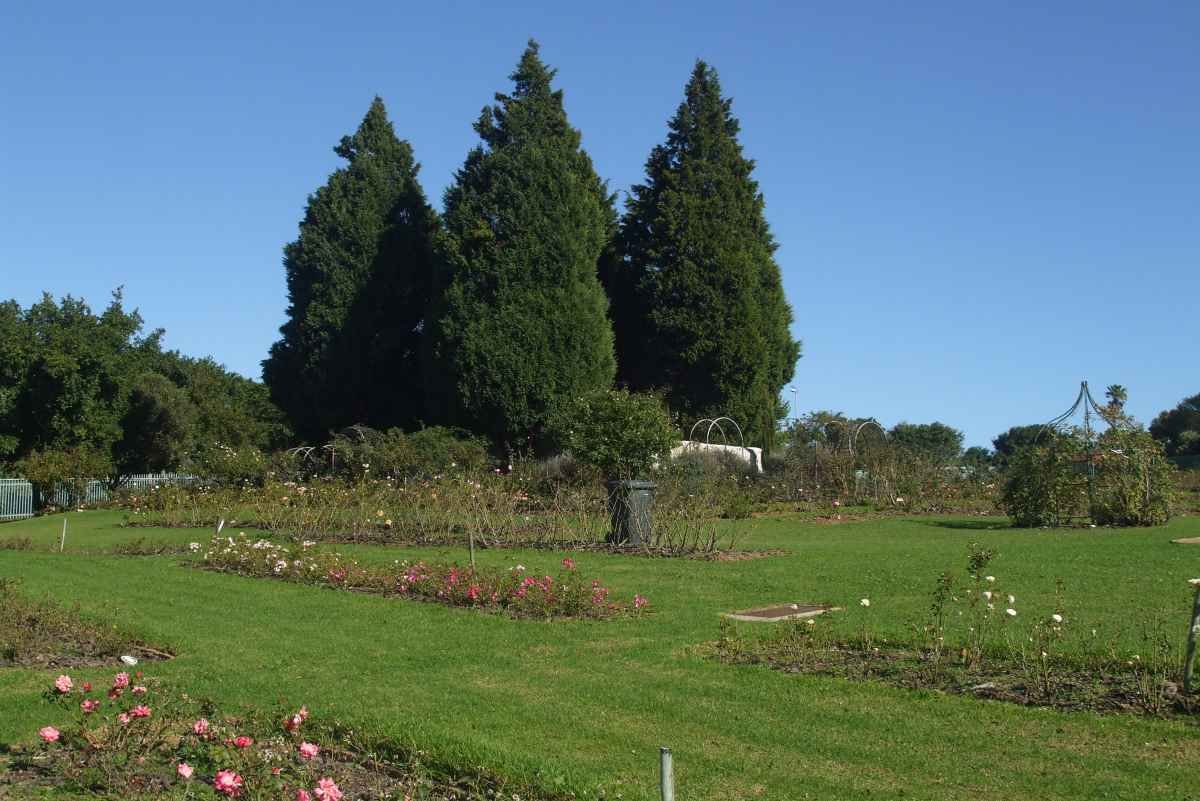 2. Overview - cemetery in 2009