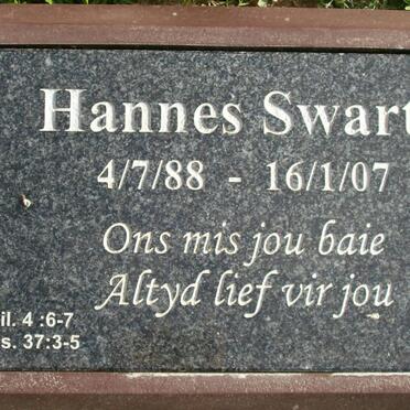 SWARTZ Hannes 1988-2007