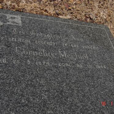 LAUBSCHER Cornelius Mechiel 1874-1946