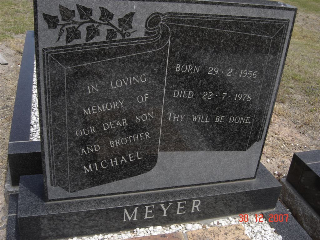 MEYER Michael 1956-1978
