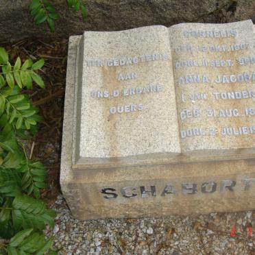 SCHABORT Cornelis 1867-1960 &amp; Anna Jacoba VAN TONDER 1878-1958