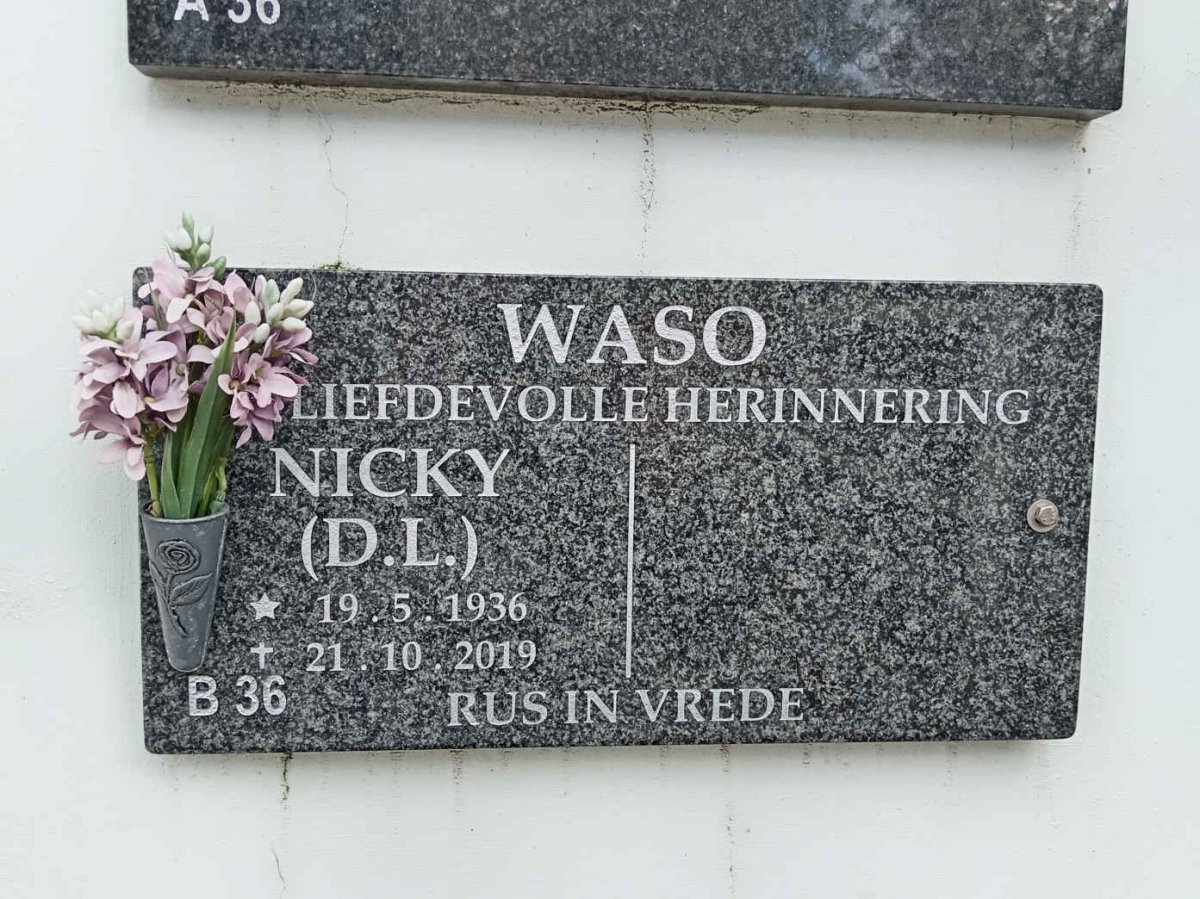 WASO D.L. 1936-2019