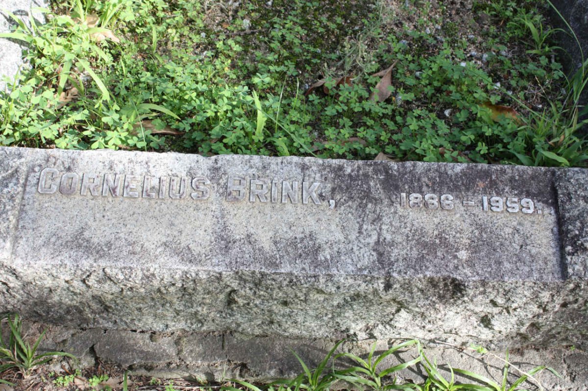 BRINK Cornelius 1886-1959