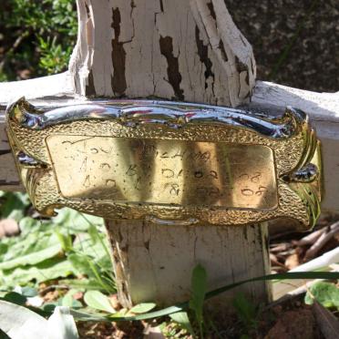 HICKMAN Joy 2008-2008