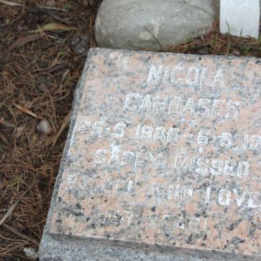 CARDASES Nicola  1986-1991