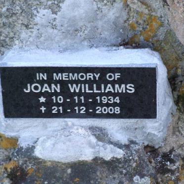 WILLIAMS Joan 1934-2008