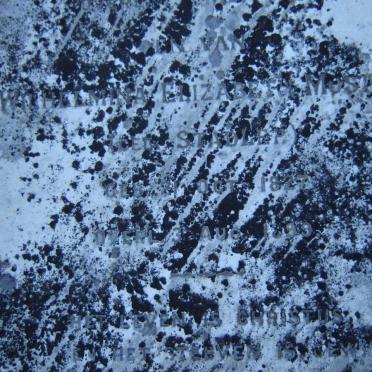 MOSTERT Wilhelmina Elizabeth nee STADLER 1827-1899