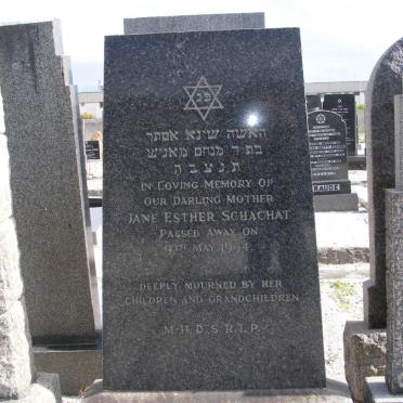 SCHACHAT Jane Esther -1954