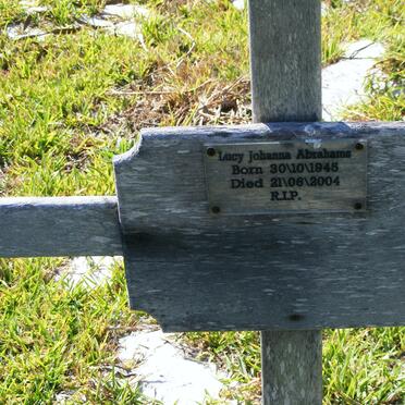 ABRAHAMS Lucy Johanna 1945-2004