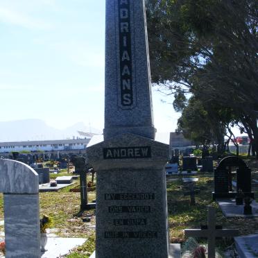 ADRIAANS Andrew 1928-2003