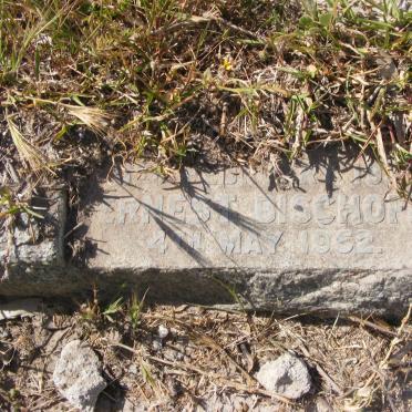 BISCHOFF Ernest -1952