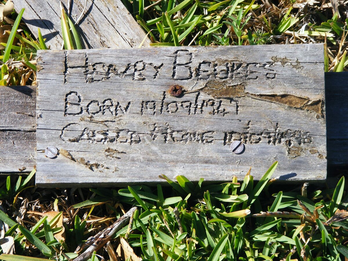 BEUKES Henry 1947-1998