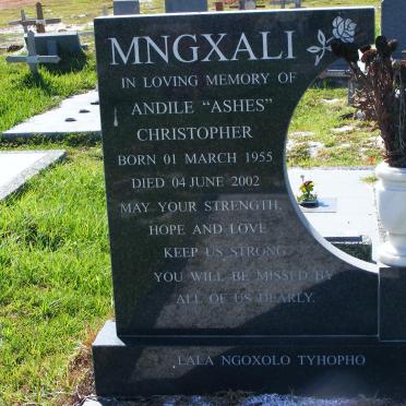MNGXALI Andile Christopher 1955-2002