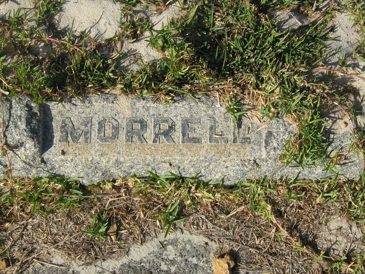 MORRELL