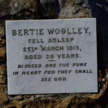 WOOLLEY Bertie -1913
