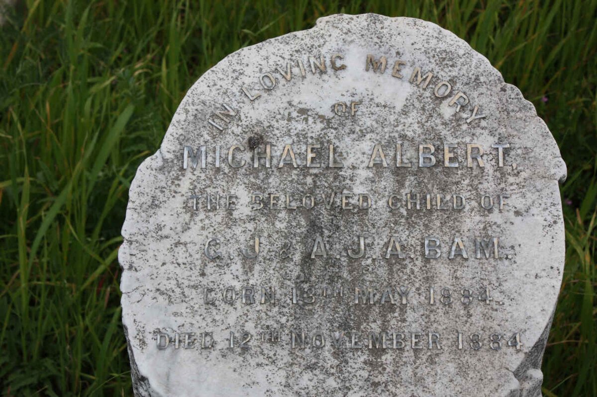 BAM Michael Albert 1884-1884