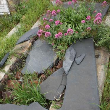 COLYN B.J. 1818-1891 