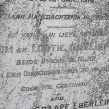 EBERLEIN :: MYNHARDT :: LOUW