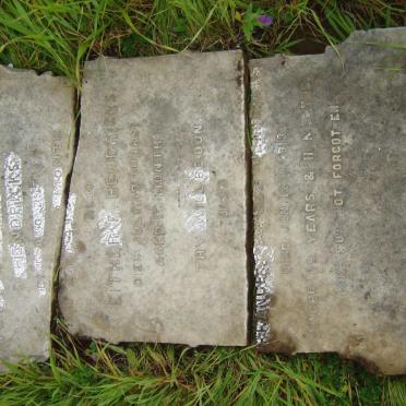 HENDRICKS Petronella Elizabeth  1897 :: HENDRICKS Litner F. -1891 :: HENDRICKS Frances Moses -1913